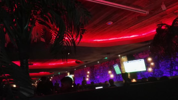 Pasha Shisha inside