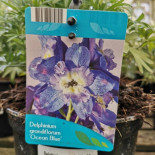 Fairley's Garden Centre drink