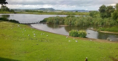 The Kingfisher Cafe At Castle Espie outside