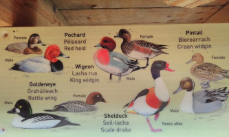 The Kingfisher Cafe At Castle Espie menu