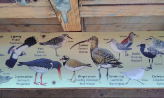 The Kingfisher Cafe At Castle Espie menu
