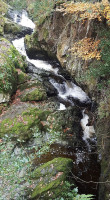 Aira Force Tearoom outside