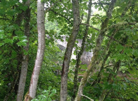 Spean Bridge Mill outside