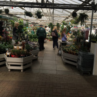 Woodcote Green outside