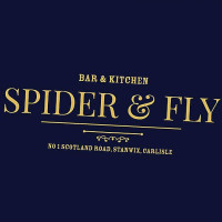 Spider And Fly logo