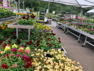 Polhill Garden Centre
