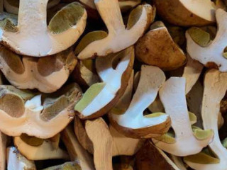 Topolino Event Catering