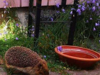 Tuhannen Tuskan Kahvila