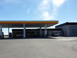 Shell Andenes