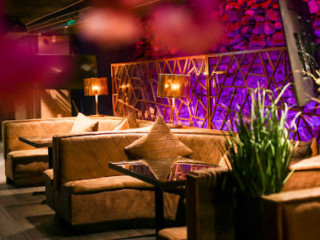 Pasha Shisha