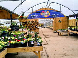 Baskets And Blooms Plant Centre And Blooms Cafe