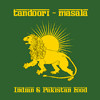 Tandoori Masala Indian Pakistan Food