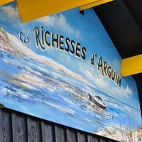 Les Richesses D 'arguin